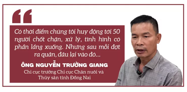Ớn lạnh lò mổ heo '4 không' - Bài 1: Công an đột kích các lò mổ heo lậu giữa đêm - 21