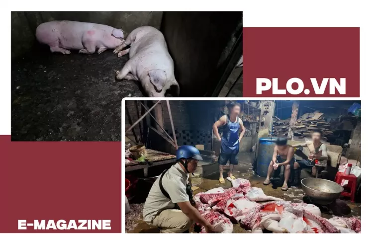Ớn lạnh lò mổ heo '4 không' - Bài 1: Công an đột kích các lò mổ heo lậu giữa đêm - 20