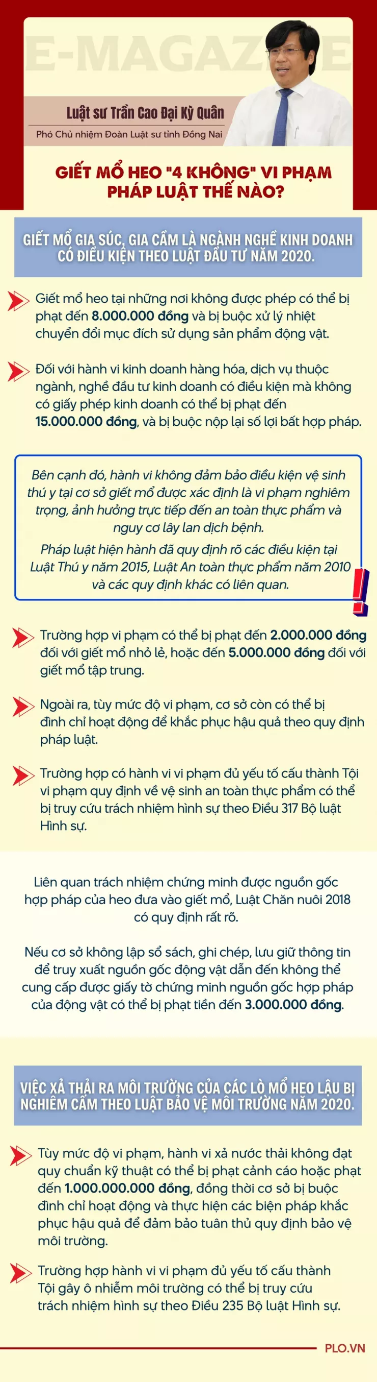 Ớn lạnh lò mổ heo '4 không' - Bài 1: Công an đột kích các lò mổ heo lậu giữa đêm - 23