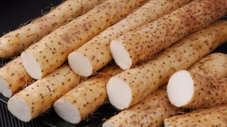 Loại củ mọc hoang lại là thần dược tự nhiên, hỗ trợ người thận yếu, chế biến thành nhiều món ngon - 1