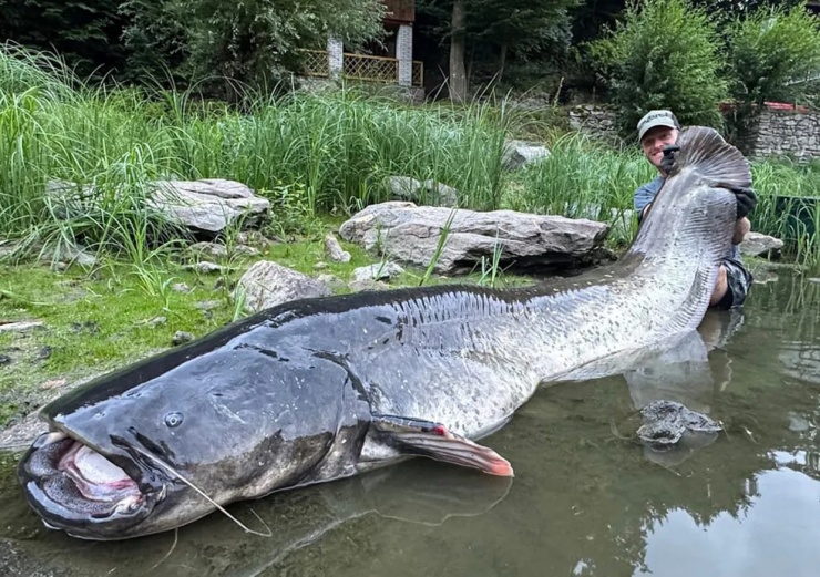 Cần thủ nổi tiếng Jakub Vagner đã câu được con cá trê dài 2,68 mét.
