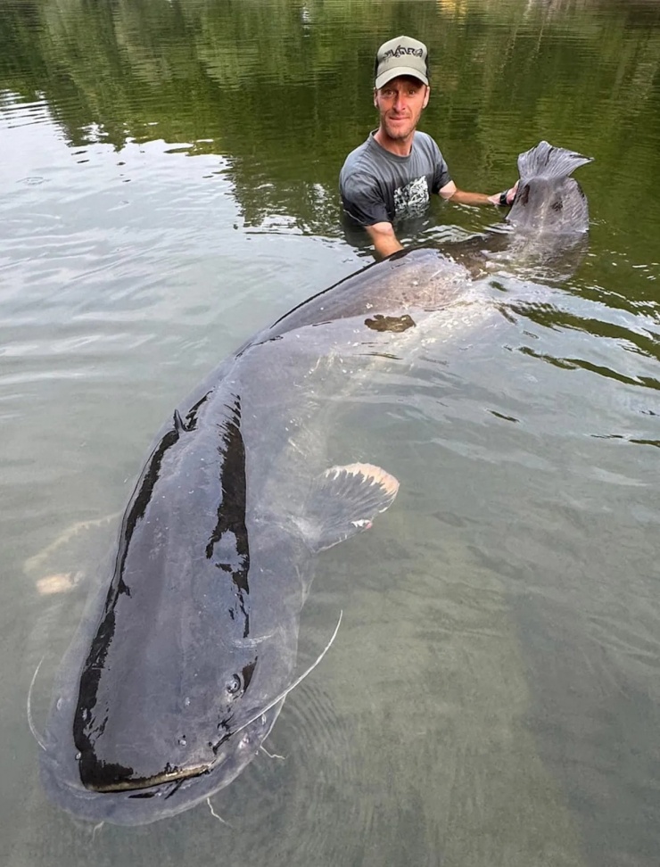 Người dẫn chương trình Fish Warrior đã thả chú cá trê khổng lồ sau khi tạo dáng chụp ảnh.