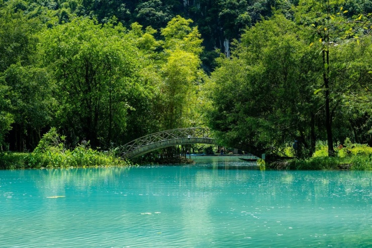 Ảnh Thu Hang