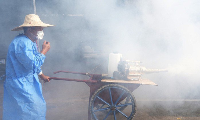Virus Chikungunya đang khiến nhiều quốc gia lo ngại về sức khỏe cộng đồng. Ảnh: Internet