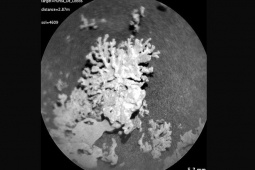 Công nghệ thông tin - NASA phát hiện thứ giống y sinh vật Trái Đất trên Sao Hỏa