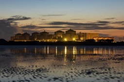 Kinh doanh - Nhà máy điện hạt nhân phải dừng hoạt động khẩn cấp vì… đàn sứa