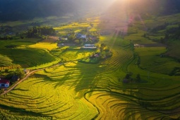 Bát Xát mùa lúa chín đẹp mê hồn