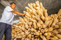 Thứ rác ở quê thẳng tay vứt đi, ai ngờ bán "đắt khét" ở nước ngoài, nhiều người săn đón