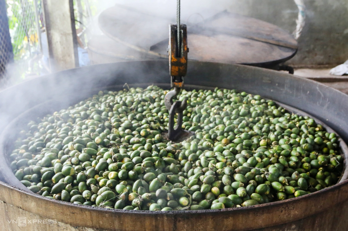 Trung Quốc rất chuộng cau từ Việt Nam