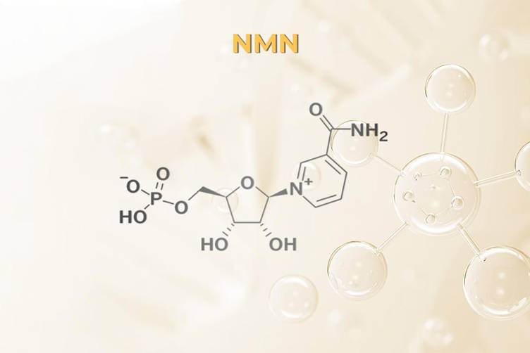 Hoạt chất NMN (hay Nicotinamide Mononucleotide)