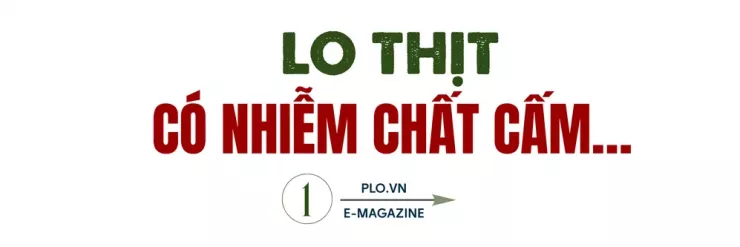 Ớn lạnh lò mổ heo '4 không' - Bài 2: Lo thịt nhiễm khuẩn, nghi có chất tạo nạc - 1