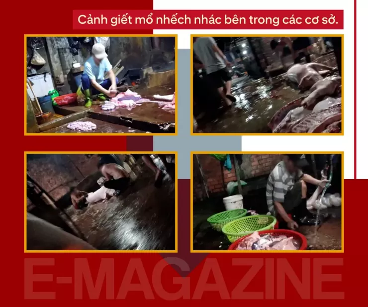 Ớn lạnh lò mổ heo '4 không' - Bài 2: Lo thịt nhiễm khuẩn, nghi có chất tạo nạc - 3