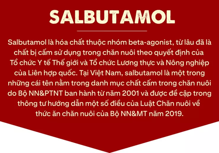 Ớn lạnh lò mổ heo '4 không' - Bài 2: Lo thịt nhiễm khuẩn, nghi có chất tạo nạc - 5
