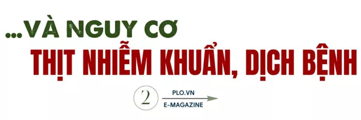 Ớn lạnh lò mổ heo '4 không' - Bài 2: Lo thịt nhiễm khuẩn, nghi có chất tạo nạc - 6