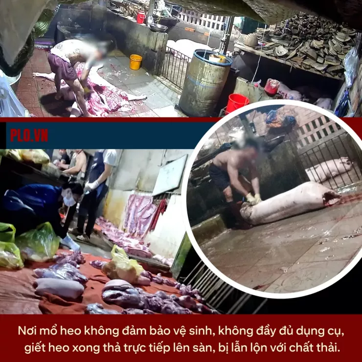 Ớn lạnh lò mổ heo '4 không' - Bài 2: Lo thịt nhiễm khuẩn, nghi có chất tạo nạc - 7