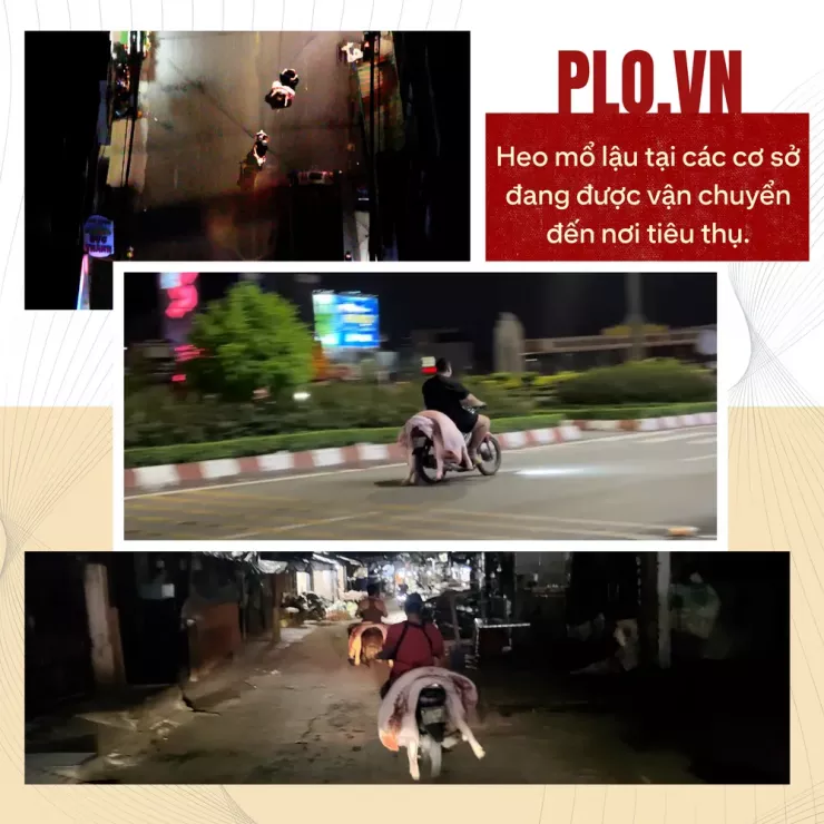 Ớn lạnh lò mổ heo '4 không' - Bài 2: Lo thịt nhiễm khuẩn, nghi có chất tạo nạc - 8