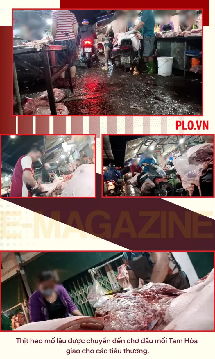 Ớn lạnh lò mổ heo '4 không' - Bài 2: Lo thịt nhiễm khuẩn, nghi có chất tạo nạc - 9