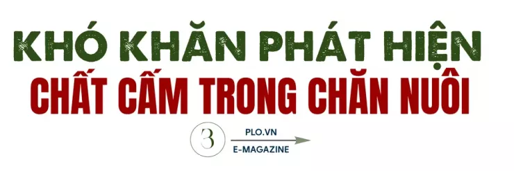 Ớn lạnh lò mổ heo '4 không' - Bài 2: Lo thịt nhiễm khuẩn, nghi có chất tạo nạc - 12