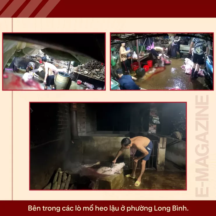 Ớn lạnh lò mổ heo '4 không' - Bài 2: Lo thịt nhiễm khuẩn, nghi có chất tạo nạc - 14