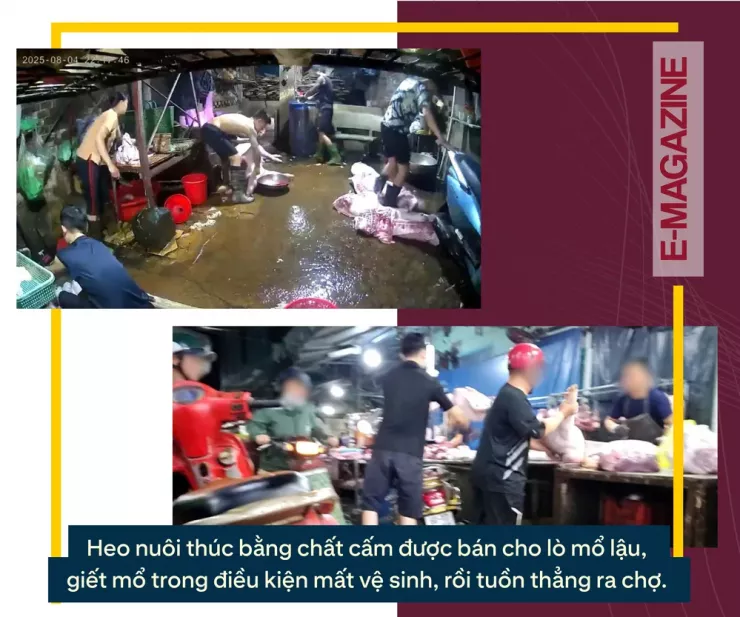 Ớn lạnh lò mổ heo '4 không' - Bài 2: Lo thịt nhiễm khuẩn, nghi có chất tạo nạc - 10