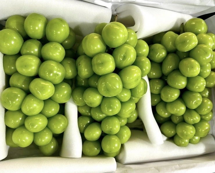 Nho sữa được rao bán tràn ngập chợ mạng với giá sốc. Ảnh: TA