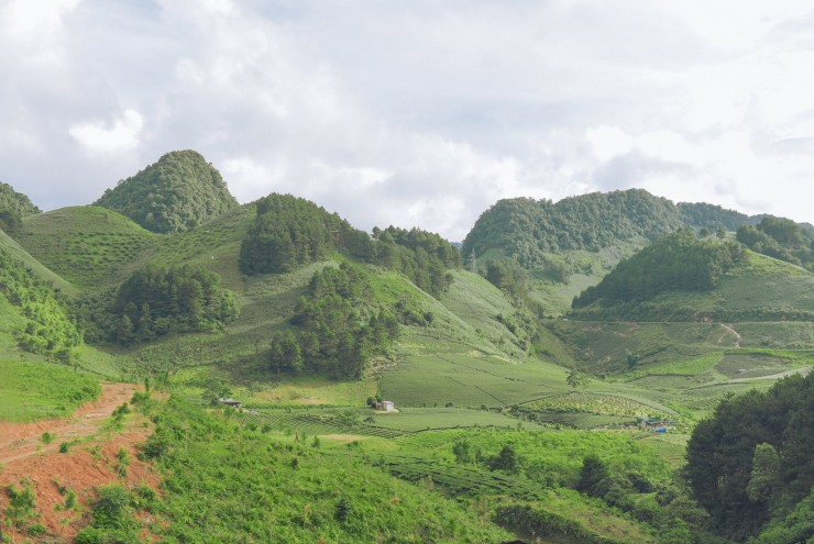 Ảnh: Sang Doan Dang