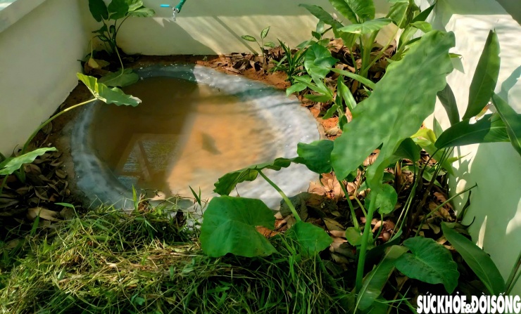 Theo Trung tâm Cứu hộ, Bảo tồn và Phát triển sinh vật, Dự án "Tái thả động vật hoang dã về Dãy Trường Sơn" giai đoạn 2023-2025 cũng triển khai việc nhân giống, bảo tồn các loài như mang lớn, trĩ sao, thỏ vằn Trường Sơn và rùa hộp trán vàng miền Trung.