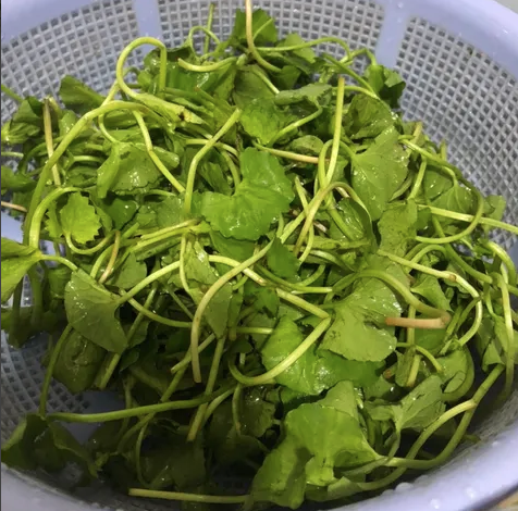 Cách làm món ăn này rất đơn giản. Đầu tiên, bạn rửa sạch rau má rồi cắt khúc.