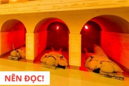 Tin tức sức khỏe - “Học lỏm” người Nhật 3 bí quyết giúp đánh bật đàm ho khó thở “không tốn một xu”!