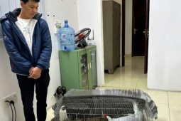 VKS Hưng Yên: 'Án sơ thẩm vụ gà lôi trắng không đúng với thay đổi của chính sách'
