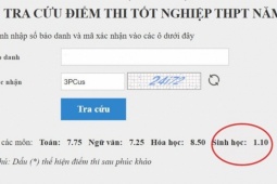 Có thí sinh từ 1,1 điểm tăng vọt lên 8,75 điểm sau phúc khảo bài thi tốt nghiệp THPT