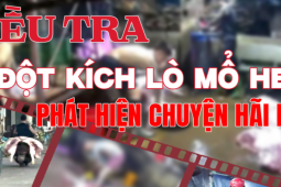 Video điều tra: Ớn lạnh lò mổ heo lậu '4 không' giữa đêm, giấy phép...