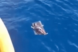 Tin tức trong ngày - CLIP: Khoảnh khắc 1 ngư dân được cứu sống sau 24 giờ lênh đênh trên biển