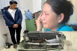 Tin tức trong ngày - Vụ lĩnh 6 năm tù vì nuôi bán 13 con gà lôi trắng: Có tình tiết giảm nhẹ trách nhiệm hình sự ?