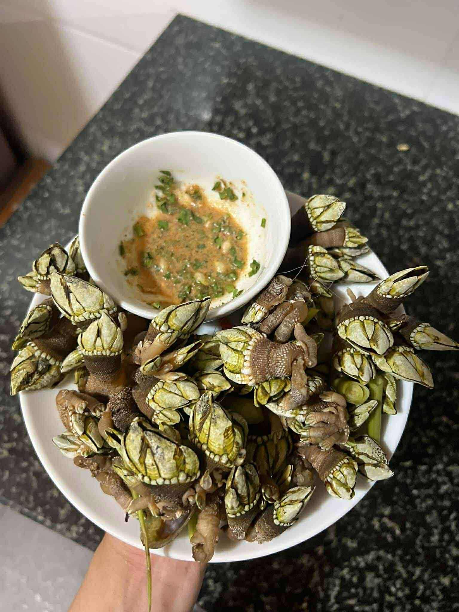 Sản vật hình thù kỳ dị ở biển Việt, tên lạ lùng, khách sành ăn săn đón - 7