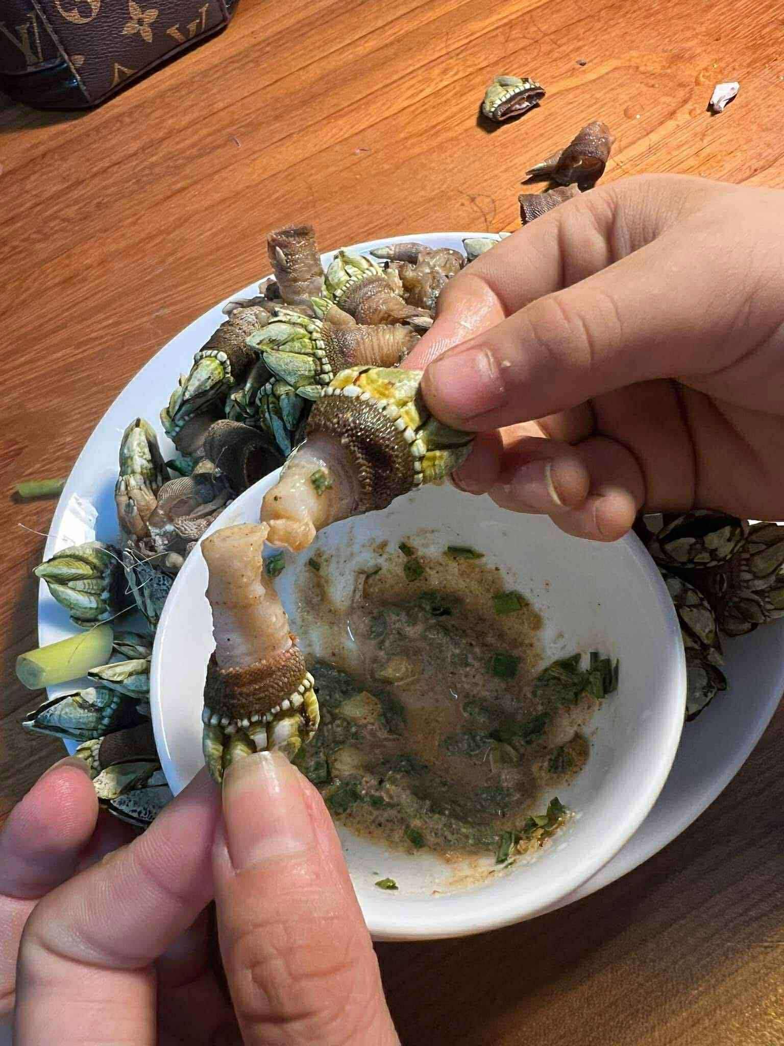 Món ốc móng tay quỷ hấp/luộc được ưa chuộng và phổ biến hơn cả vì dễ làm, lại giữ được hương vị tự nhiên của món ăn. Ảnh: Lê Hoàng Quang Nguyên