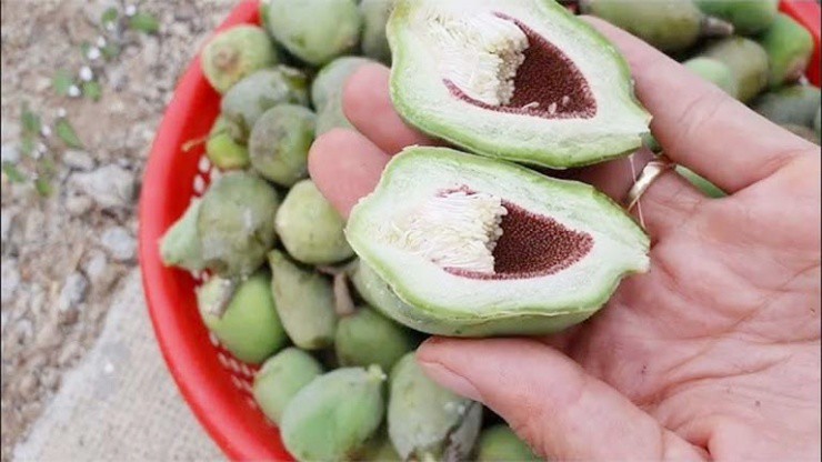 Cây mọc dại khắp Việt Nam, ở nước ngoài gần nửa triệu/kg - 3