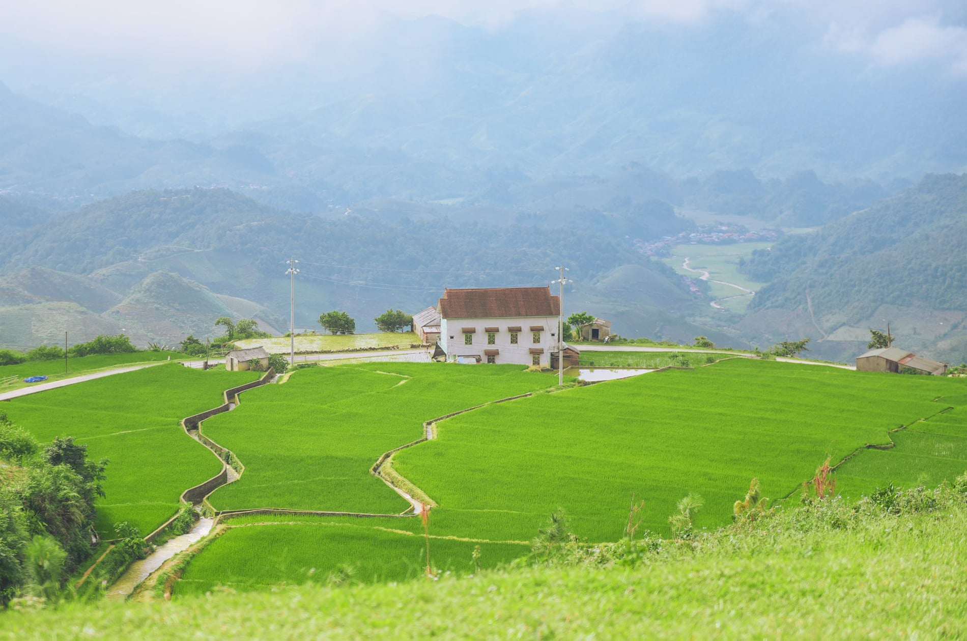 Địa điểm xanh mát mới nổi cách Hà Nội vài giờ đi xe, khách tới cắm trại, săn mây - 3