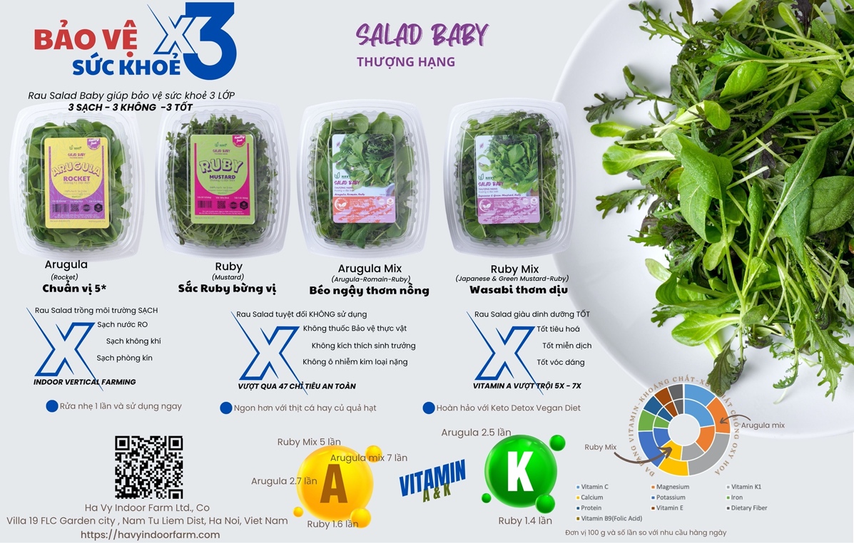 Dòng Salad Baby thượng hạng của Havy Indoor Farm