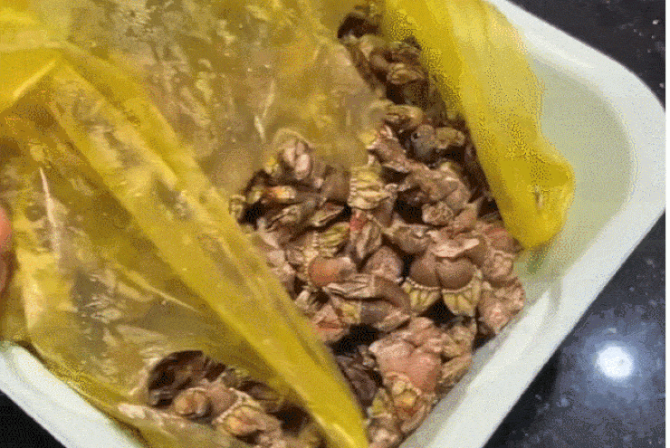 Sản vật hình thù kỳ dị ở biển Việt, tên lạ lùng, khách sành ăn săn đón - 5