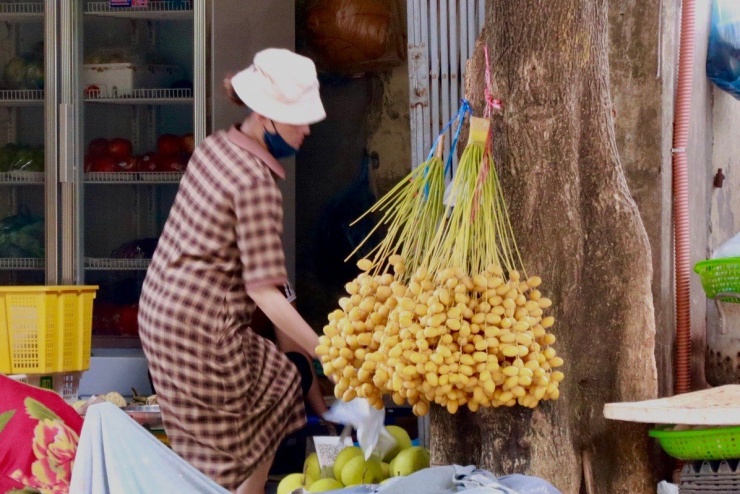 Chà là tươi đầu mùa bắt đầu xuất hiện ở các chợ dân sinh và các cửa hàng ở Hà Nội.