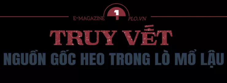 Ớn lạnh lò mổ heo '4 không' - Bài 3: Heo lậu đến từ đâu và đi về đâu? - 1