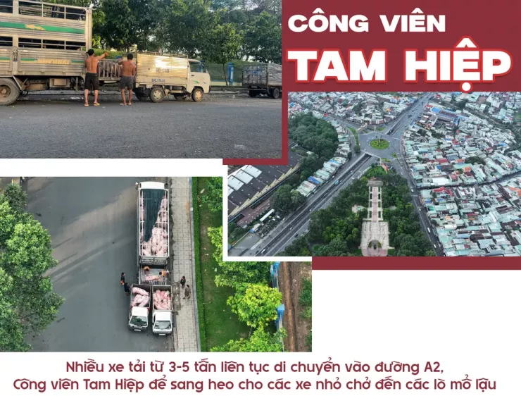 Ớn lạnh lò mổ heo '4 không' - Bài 3: Heo lậu đến từ đâu và đi về đâu? - 3