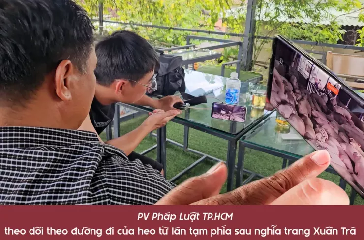 Ớn lạnh lò mổ heo '4 không' - Bài 3: Heo lậu đến từ đâu và đi về đâu? - 4