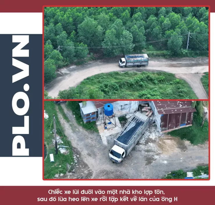 Ớn lạnh lò mổ heo '4 không' - Bài 3: Heo lậu đến từ đâu và đi về đâu? - 6