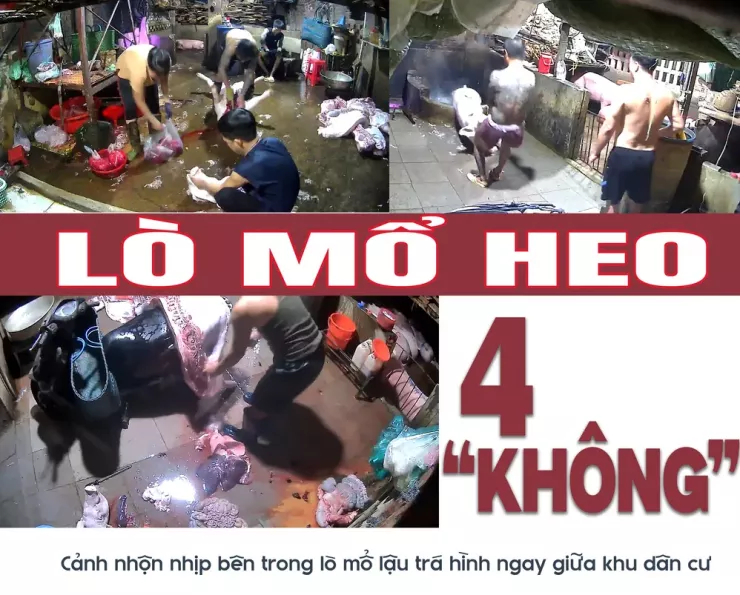 Ớn lạnh lò mổ heo '4 không' - Bài 3: Heo lậu đến từ đâu và đi về đâu? - 12