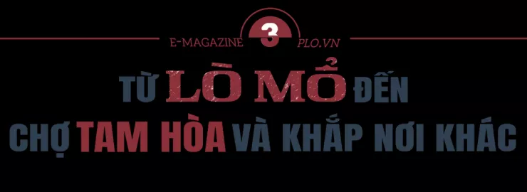 Ớn lạnh lò mổ heo '4 không' - Bài 3: Heo lậu đến từ đâu và đi về đâu? - 14