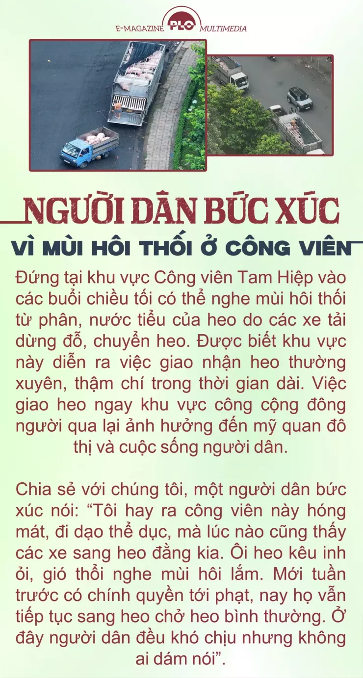 Ớn lạnh lò mổ heo '4 không' - Bài 3: Heo lậu đến từ đâu và đi về đâu? - 17