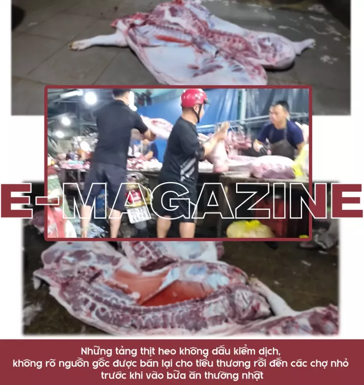 Ớn lạnh lò mổ heo '4 không' - Bài 3: Heo lậu đến từ đâu và đi về đâu? - 16