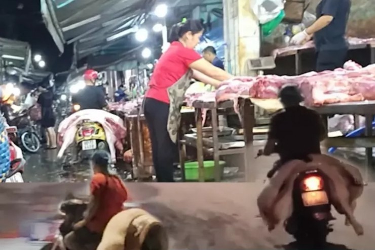 Ớn lạnh lò mổ heo '4 không' - Bài 3: Heo lậu đến từ đâu và đi về đâu?